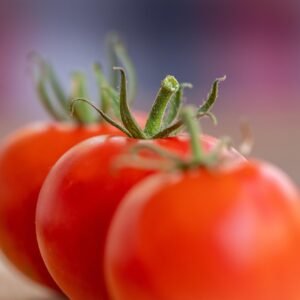 tomatoes, vegetable, food, fruit, produce, healthy, nourishment, red tomatoes, fresh, harvest, organic, closeup, tomatoes, tomatoes, tomatoes, vegetable, food, food, food, food, food, fruit, fruit